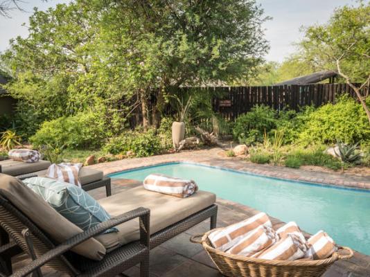 Kambaku Safari Lodge - 218737