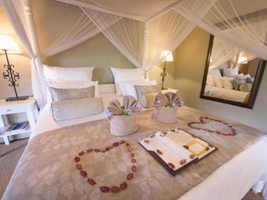 Kambaku Safari Lodge - 218756