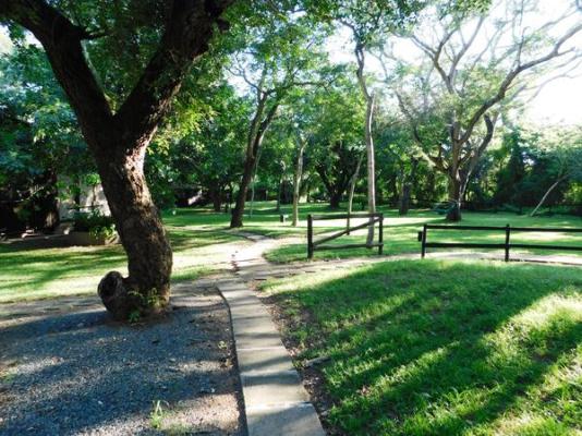 Isinkwe Bush Camp - 219402