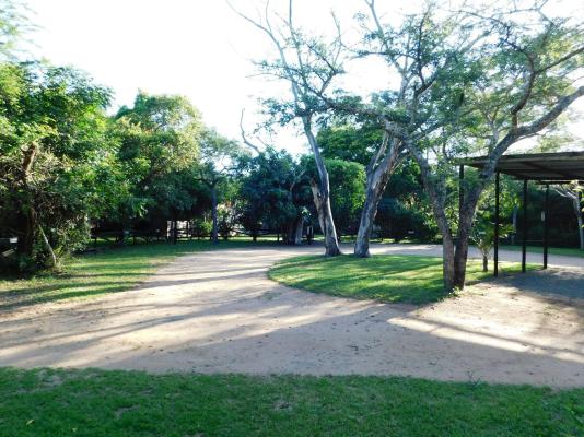 Isinkwe Bush Camp - 219407