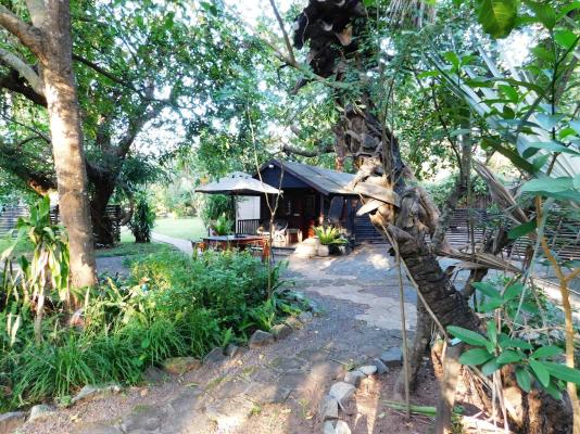 Isinkwe Bush Camp - 219408