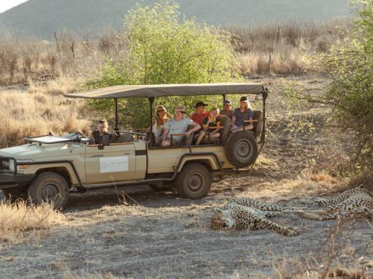 Last Word Madikwe - 219493