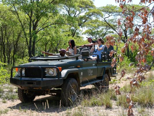 Mziki Safari Lodge - 220130