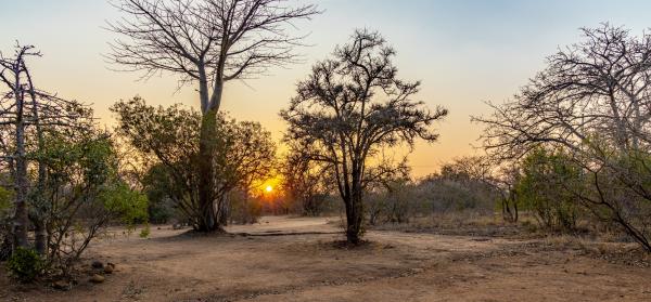 Kusudalweni Safari Lodge and Spa - 221081