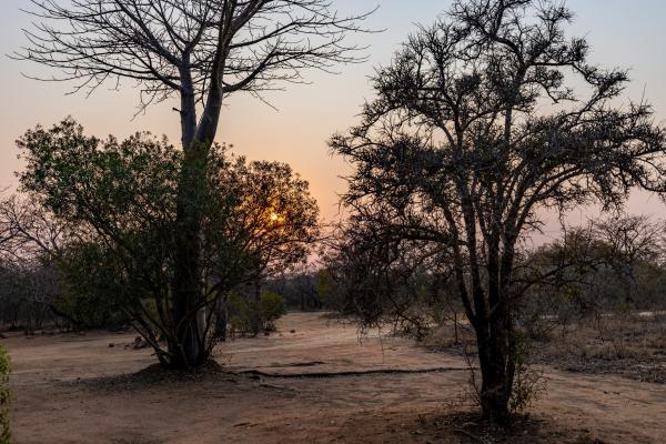 Kusudalweni Safari Lodge and Spa - 221099