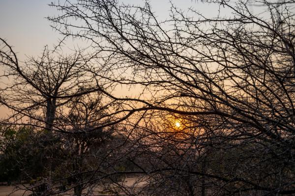 Kusudalweni Safari Lodge and Spa - 221105