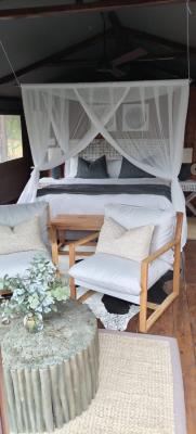 Barefoot Addo Elephant Lodge - 221834