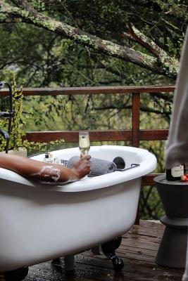 Barefoot Addo Elephant Lodge - 221835