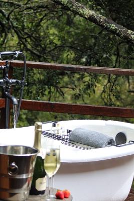 Barefoot Addo Elephant Lodge - 221868