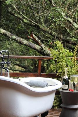 Barefoot Addo Elephant Lodge - 221870