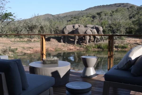 Barefoot Addo Elephant Lodge - 221873