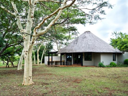 Ubizane Zululand Safari Lodge - 222431