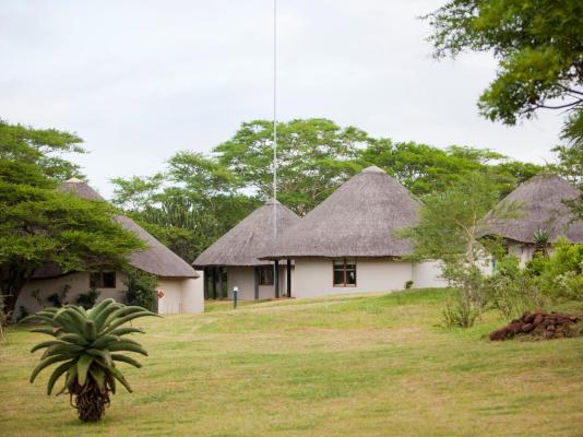 Ubizane Zululand Safari Lodge - 222434