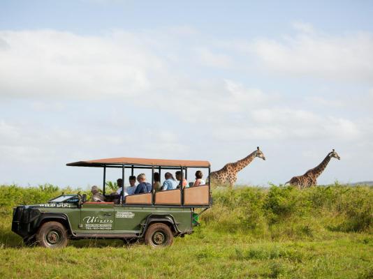 Ubizane Zululand Safari Lodge - 222437