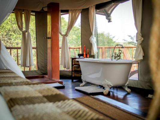 Thula Thula Private Game Reserve - 223622