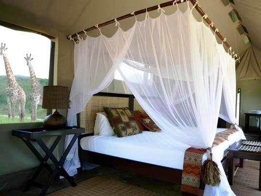 Thula Thula Private Game Reserve - 223644