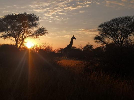 Gamagara Africa Private Nature Reserve - 225034