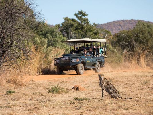 Mabula Game Lodge - 225523