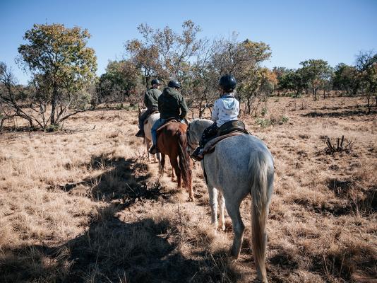 Mabula Game Lodge - 225528