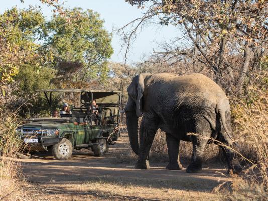 Mabula Game Lodge - 225530