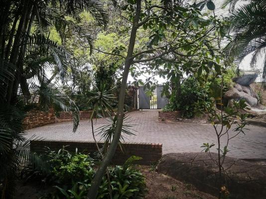 Forest Lodge - Richards Bay - 225705