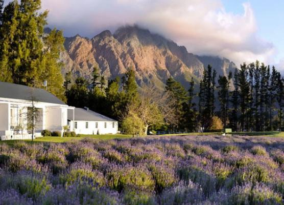 Lavender Farm Guesthouse - 225767