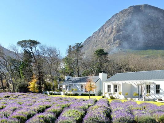 Lavender Farm Guesthouse - 225770