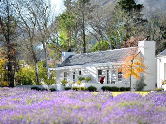 Lavender Farm Guesthouse - 225790