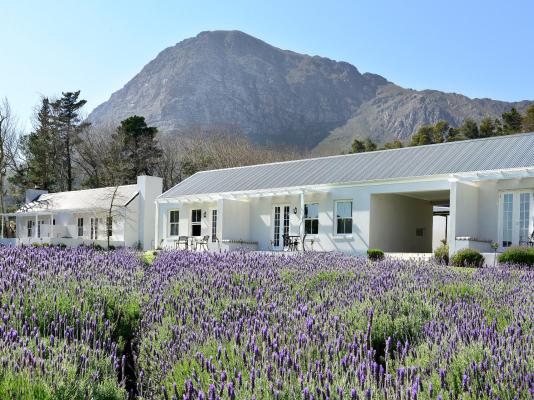 Lavender Farm Guesthouse - 225809