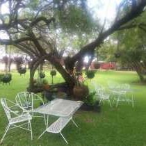 Black Swan Guest House - 226349