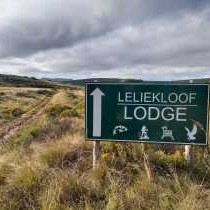 Leliekloof Lodge - 226797