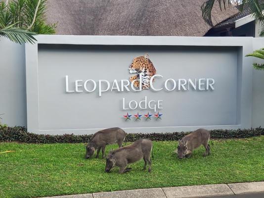 Leopard Corner Lodge - 226959