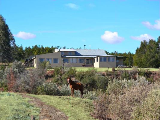 Drakensberg Mountain Retreat - 227611