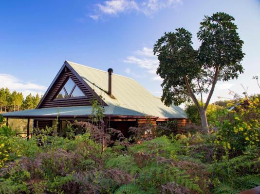 The Fernery Lodge & Chalets - 228055