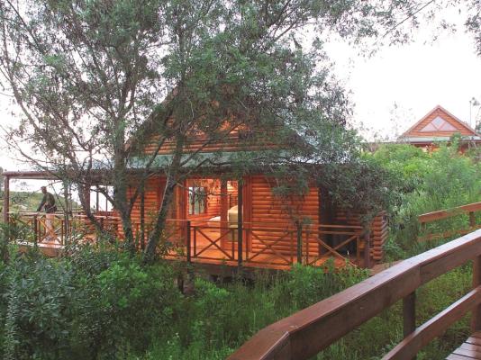 The Fernery Lodge & Chalets - 228064