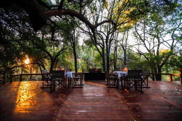 Jaci's Safari and Tree Lodges - 228091