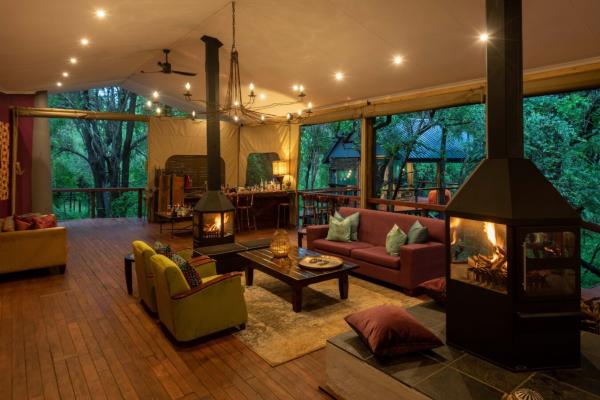 Jaci's Safari and Tree Lodges - 228104