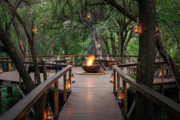 Jaci's Safari and Tree Lodges - 228108