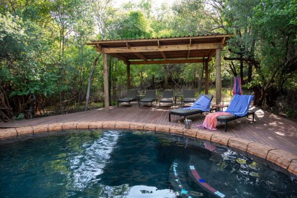 Jaci's Safari and Tree Lodges - 228112