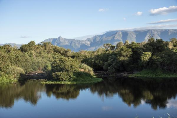 Bontebok National Park - 228113