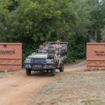 Mohlabetsi Safari Lodge - 228994