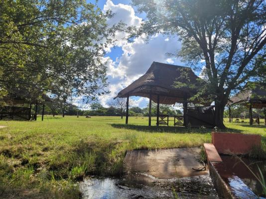 Lush Horizons Game Lodge - 229122