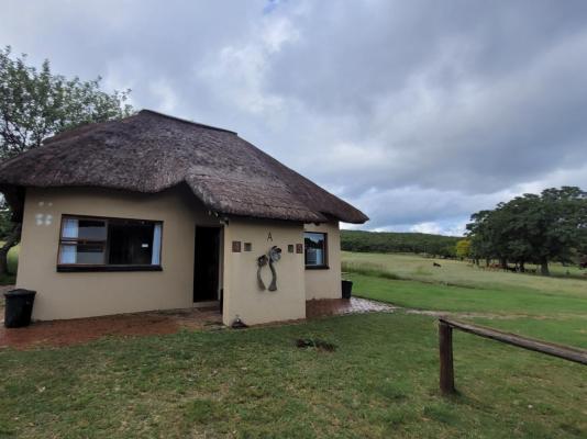 Lush Horizons Game Lodge - 229154