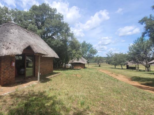 Lush Horizons Game Lodge - 229156