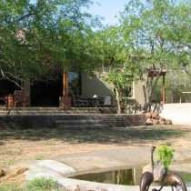 view of the patio from the waterhole