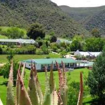 De Oude Meul Country Lodge and Game Farm